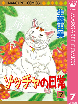 茶茶的日常生活