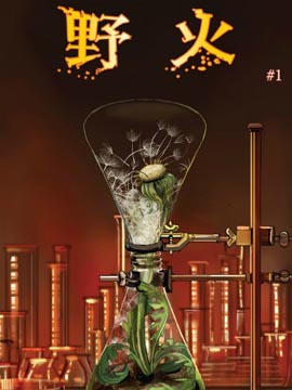 美漫小短篇；野火