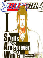 死神外传小说(BLEACH Spirits Are Forever With You)